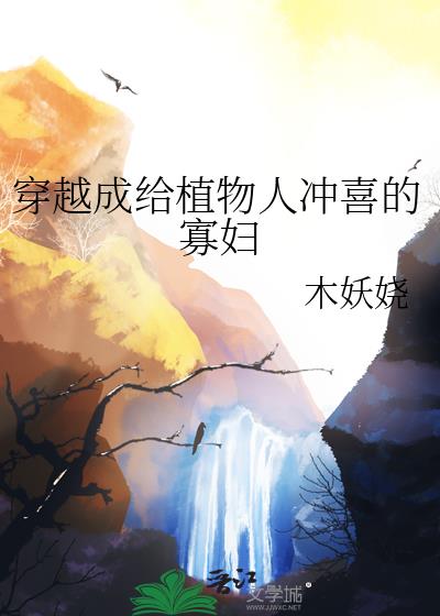 穿越成给植物人冲喜的寡妇